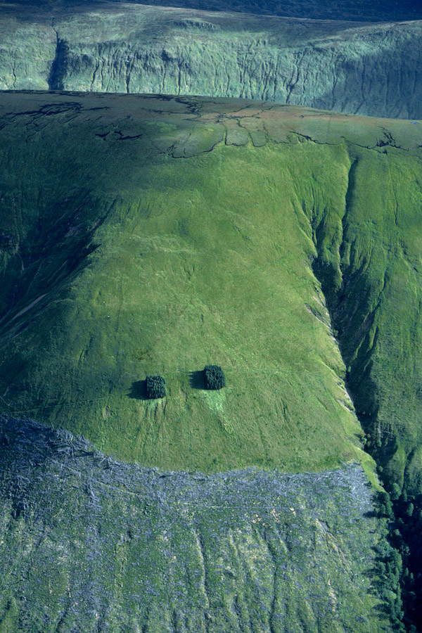 Patricia Macondonald