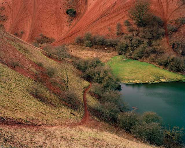 from The Bings by Jack luke