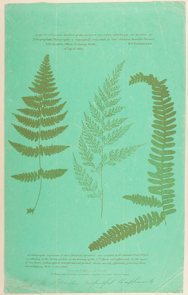 Photo-lithograph by William Forrester