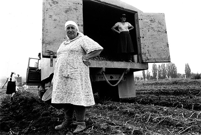 Frank Raffles, Women Workers